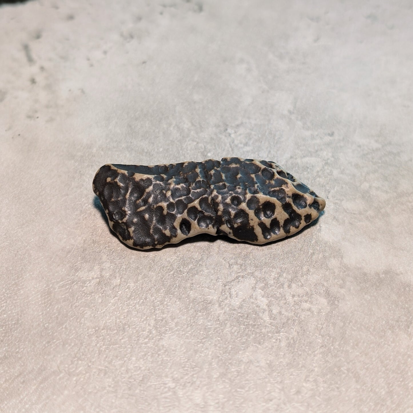 Mudstone with weathered rind