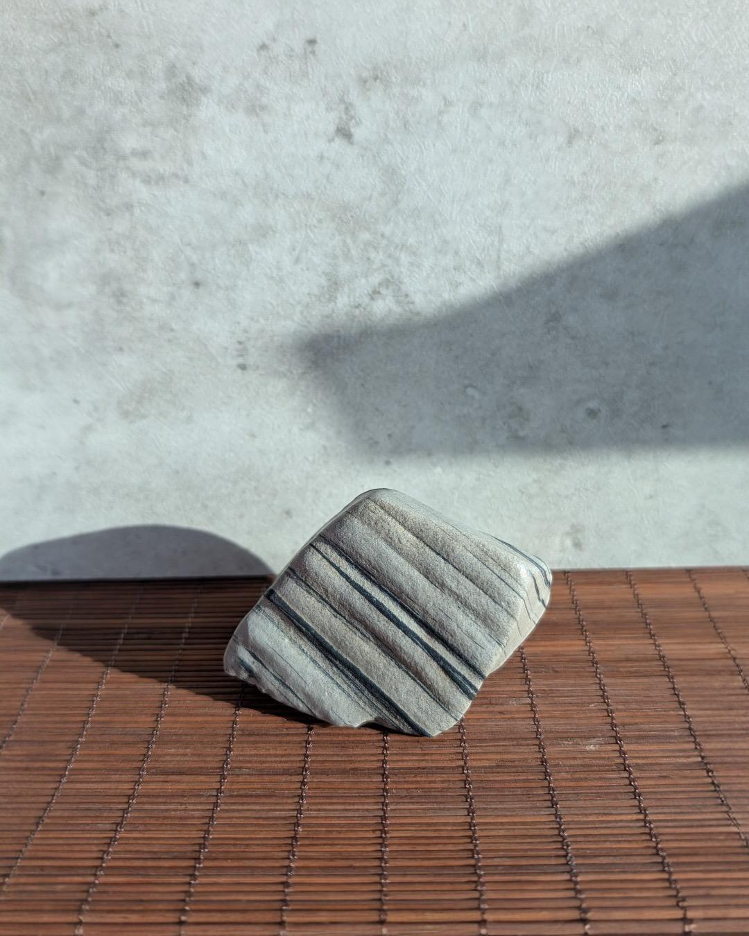 Gobi Desert Mud-Stone (found near Xinjiang area)