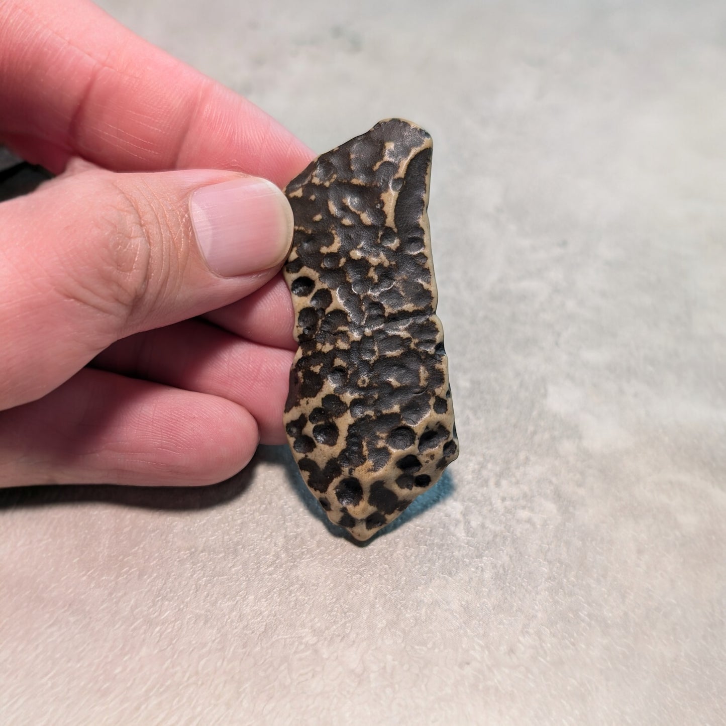 Mudstone with weathered rind