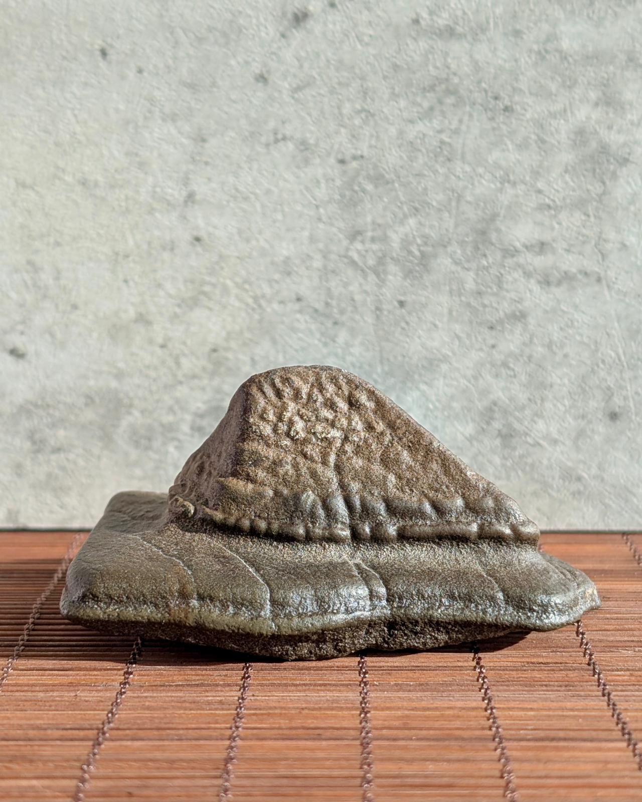 Pyramid-like Natural Gobi stone