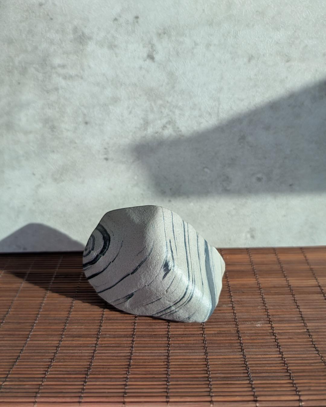 Gobi Desert Mud-Stone (found near Xinjiang area)