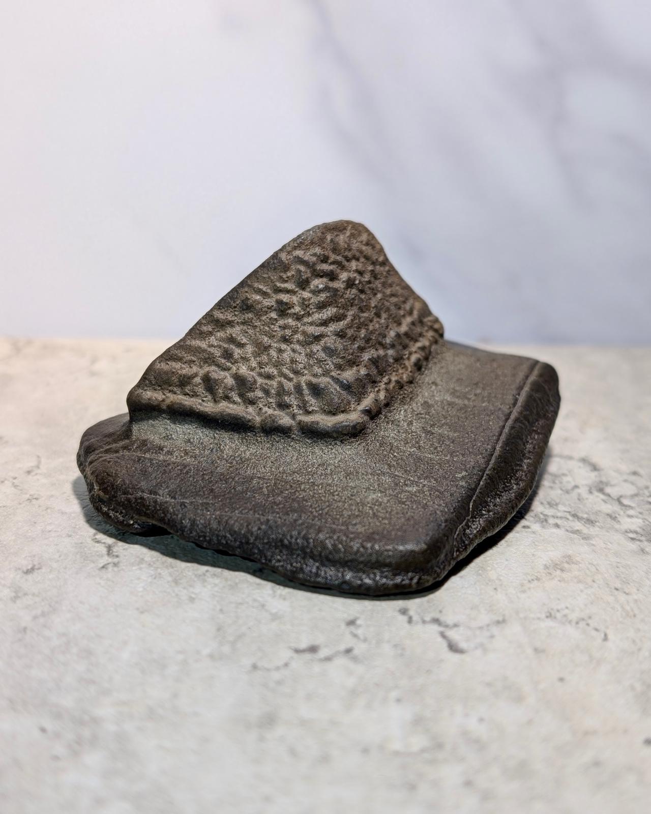 Pyramid-like Natural Gobi stone