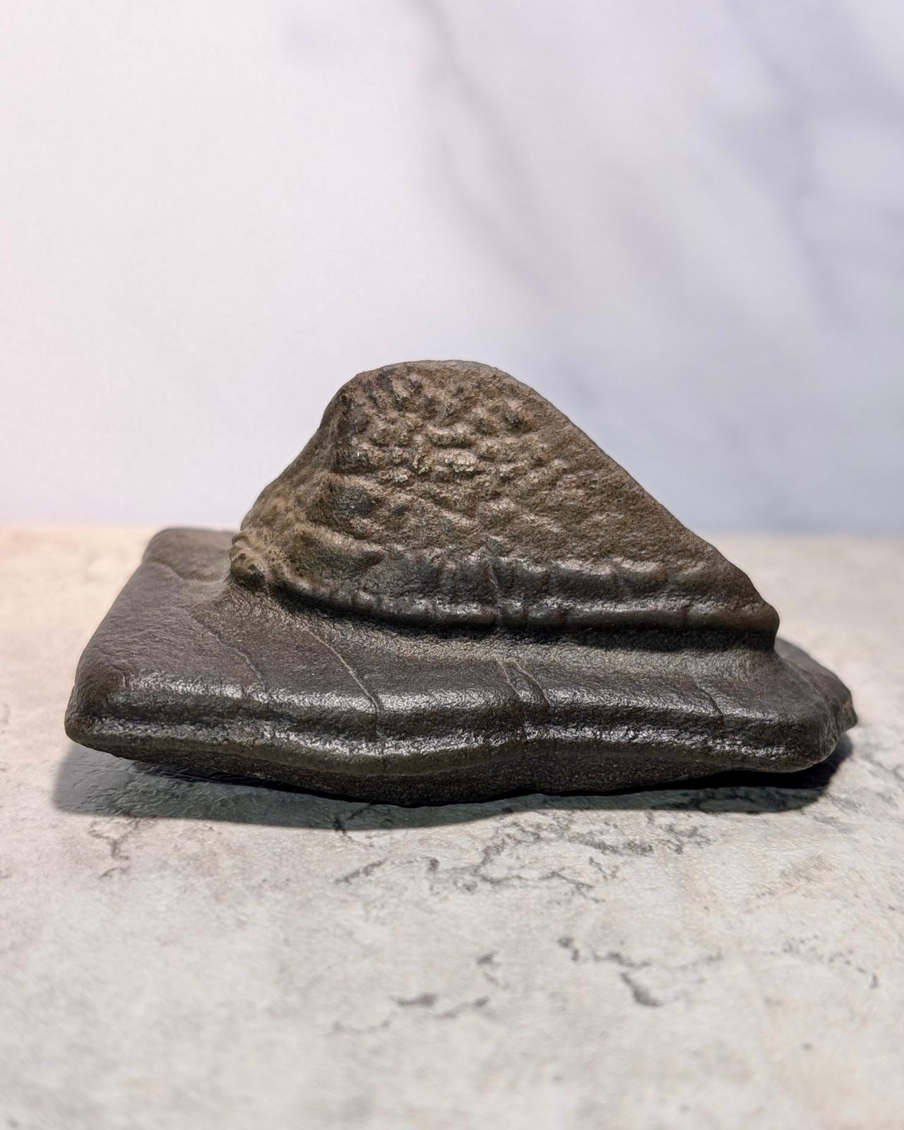 Pyramid-like Natural Gobi stone