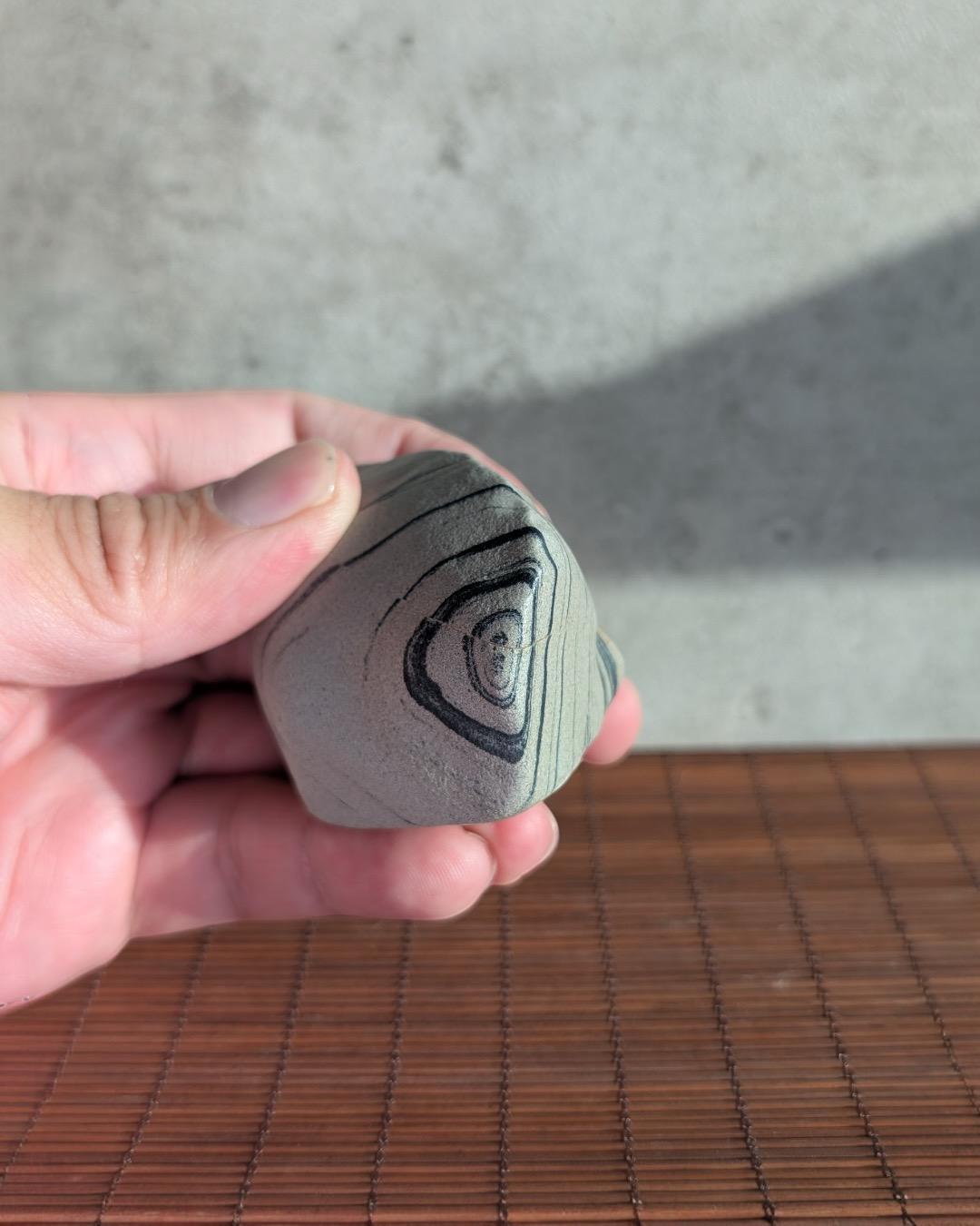 Gobi Desert Mud-Stone (found near Xinjiang area)