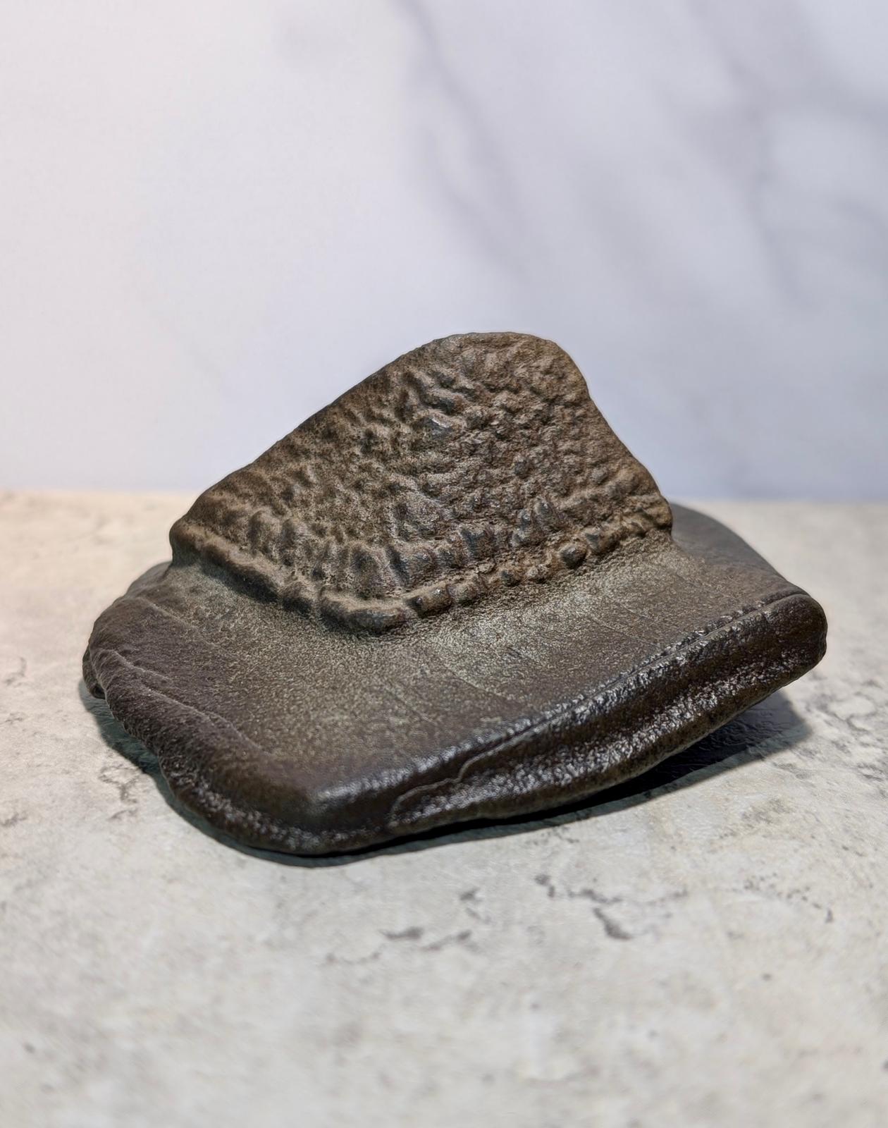 Pyramid-like Natural Gobi stone