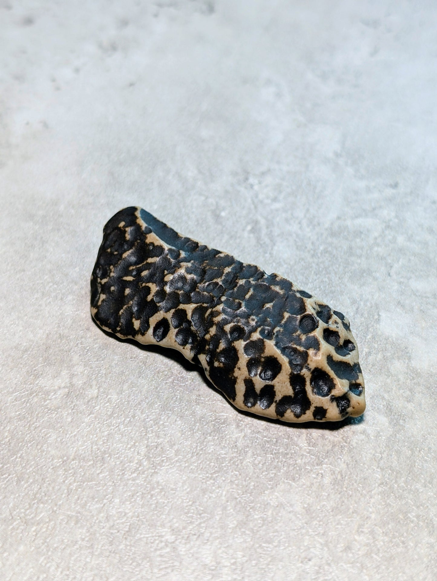 Mudstone with weathered rind