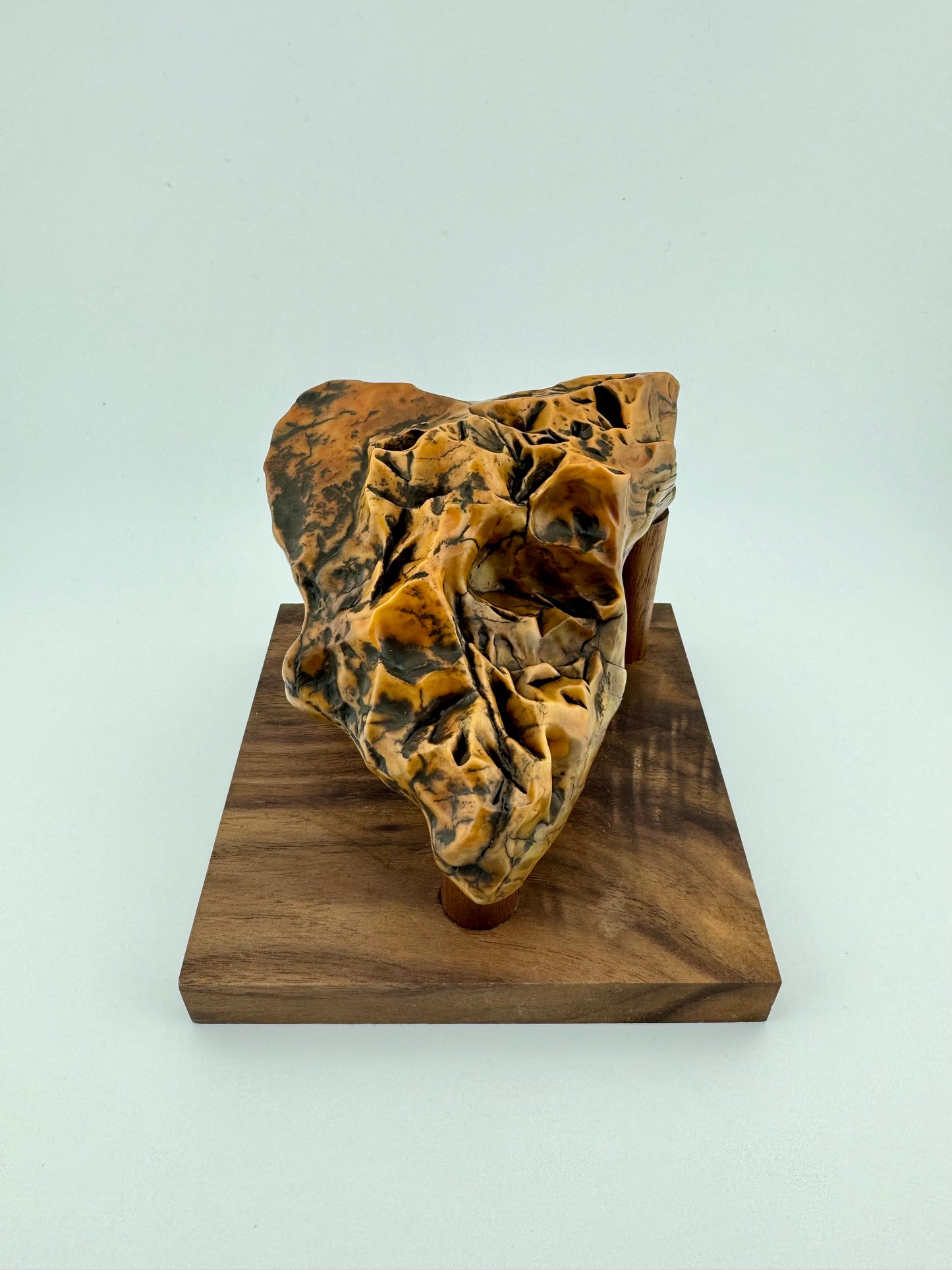 Natural Gobi Viewing Stone